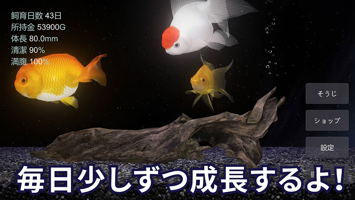 Goldfish Aquarium 金魚育成アプリ ポケット金魚